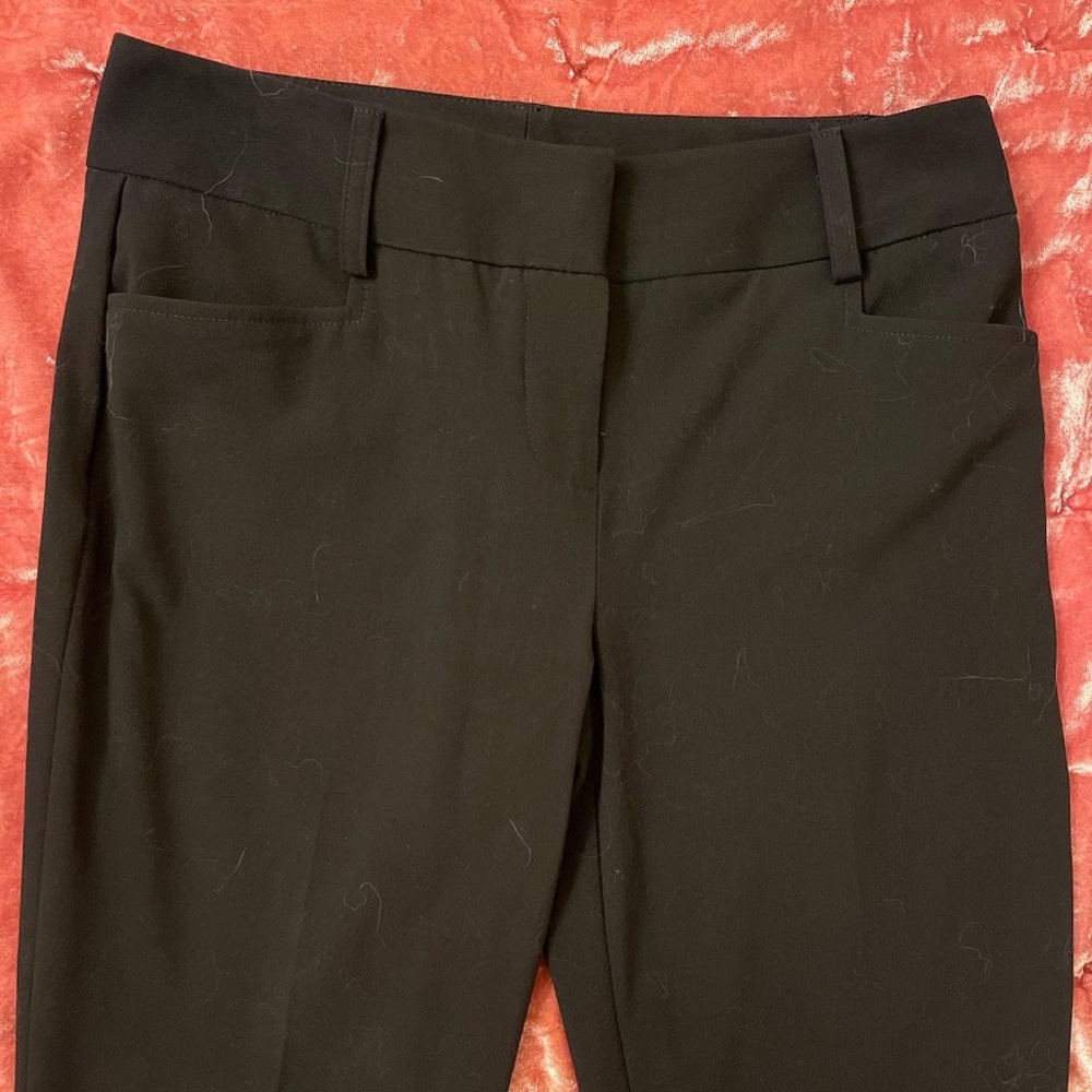 Dress slacks